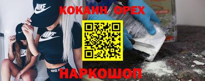 сатива Будённовск