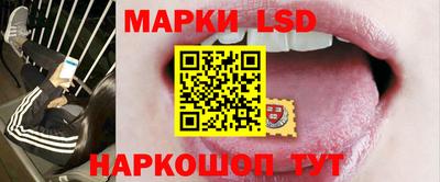 сатива Будённовск