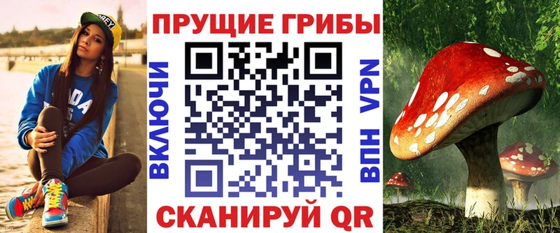 Псилоцибиновые грибы прущие грибы  как найти закладки  shop телеграм  Городец 