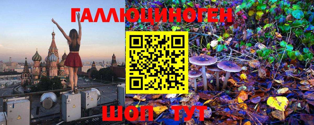 Городец  Псилоцибиновые грибы Psilocybine cubensis  Псилоцибиновые грибы MAGIC MUSHROOMS  Вход с VPN 