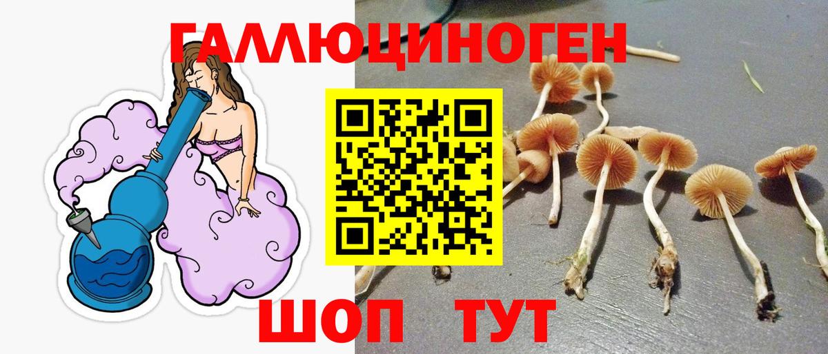 Галлюциногенные грибы прущие грибы Городец