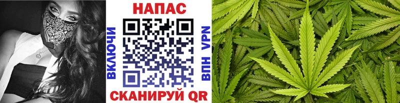 МАРИХУАНА гибрид  Городец 